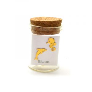 Σκουλαρίκι Ιππόκαμπος και Δελφίνι