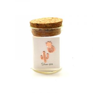 Σκουλαρίκια Κάκτος και Ανανάς